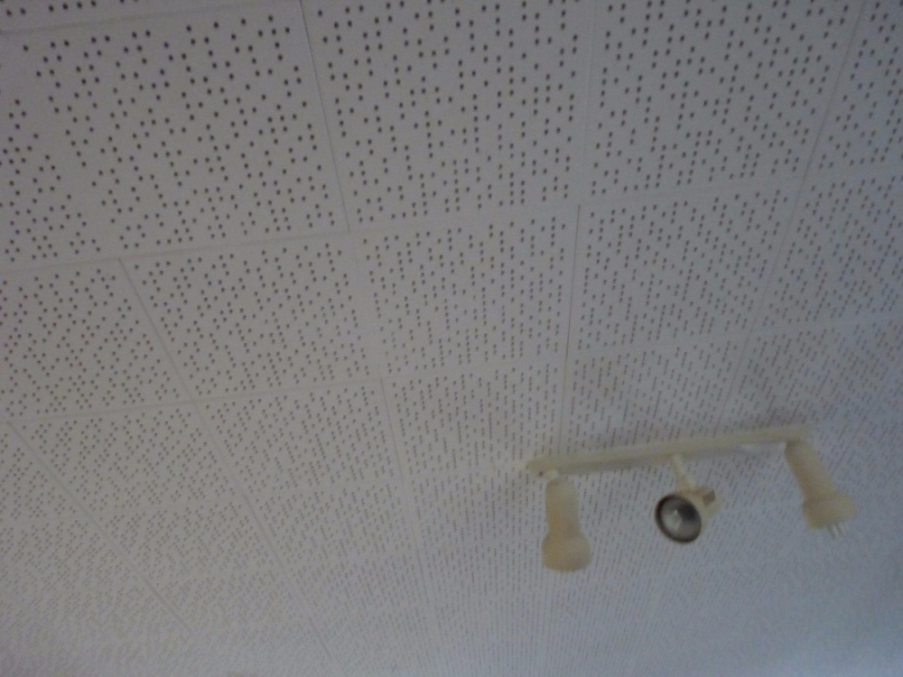 Pinex Ceiling Tiles