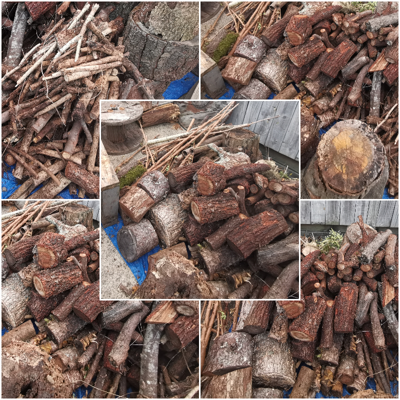 Free firewood | Freestuff